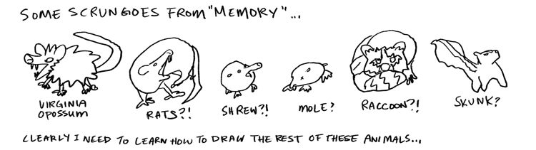 some bad drawings of some scrungoes from memory, including virginia opossum, rat, shrew, mole, raccoon, skunk
